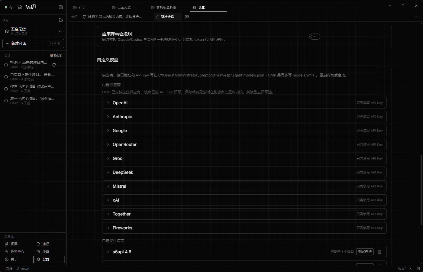 VesPi 设置：模型供应商与自定义模型